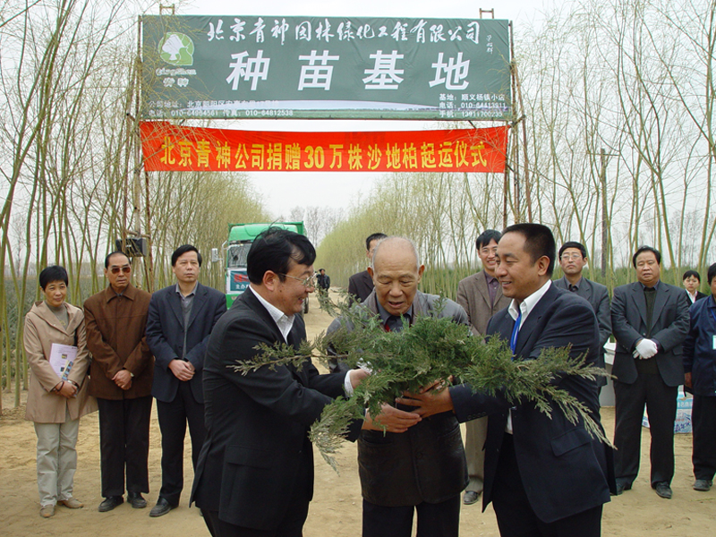 北京一企业向内蒙古捐赠30万株沙地柏苗木